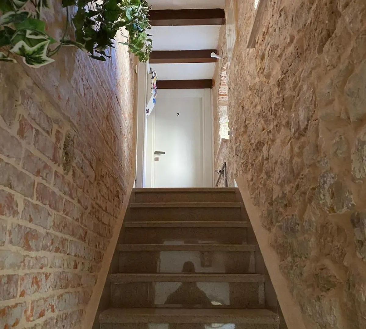 Sv.Duje Apartments سبليت